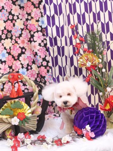 20250117あんちゃん